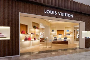 Louis Vuitton Mexico El Palacio de Hierro Polanco image