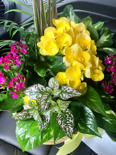 Florist «Water Lily Flower Shop», reviews and photos, 7150 W Higgins Ave, Chicago, IL 60656, USA