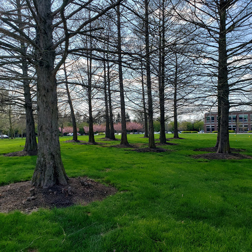 Insurance Agency «GEICO Corporate Office», reviews and photos