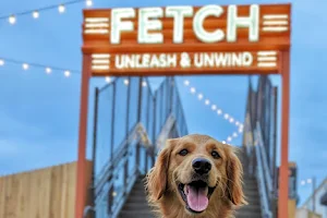 Fetch Park @ The Works image