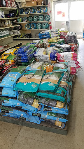 Garden Center «Westminster Nursery & Florist», reviews and photos, 30 Westminster Rd, West Hempstead, NY 11552, USA