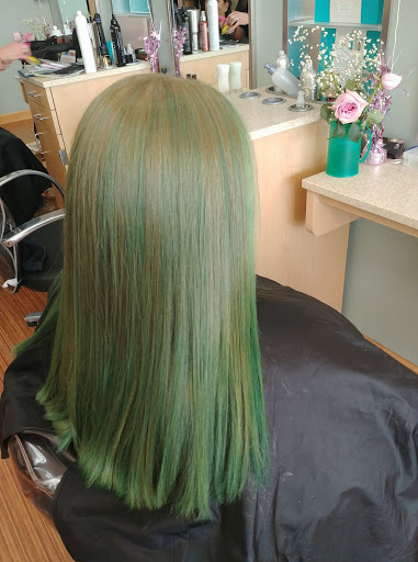 Hair Salon «Regis Salon», reviews and photos, 8318 MN-7, St Louis Park, MN 55426, USA