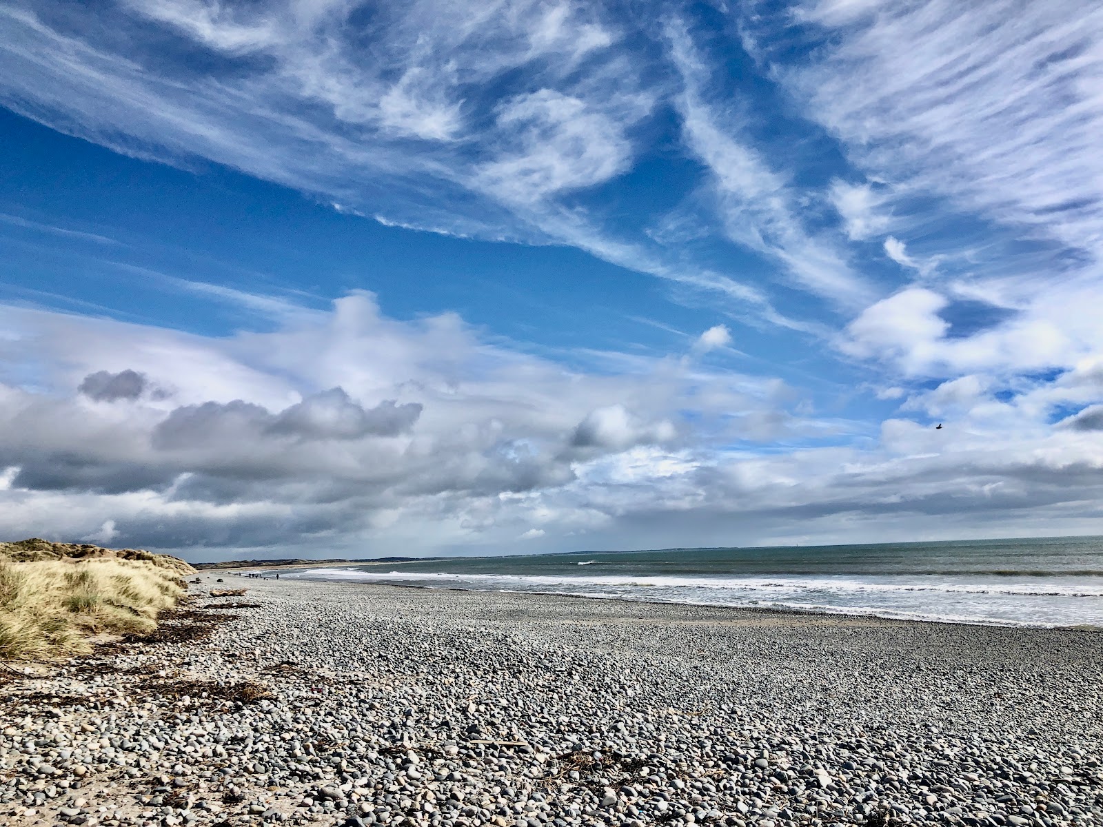 Foto van Murlough Strand wilde omgeving