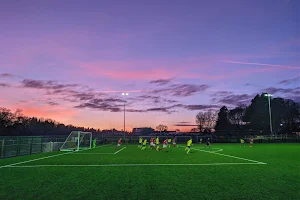 Ascot United Football Club image