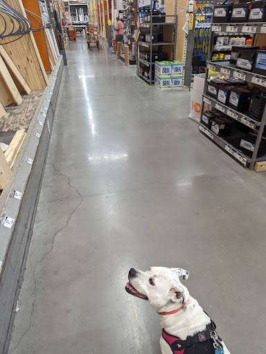 Home Improvement Store «The Home Depot», reviews and photos, 11100 Telegraph Rd, Taylor, MI 48180, USA