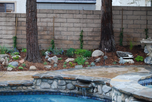 Vision Landscaping image