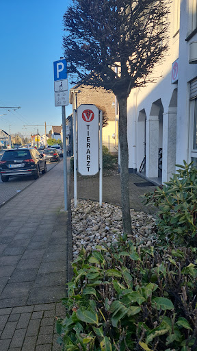 Tierarztpraxis Aufderhöhe unter Solingen, 