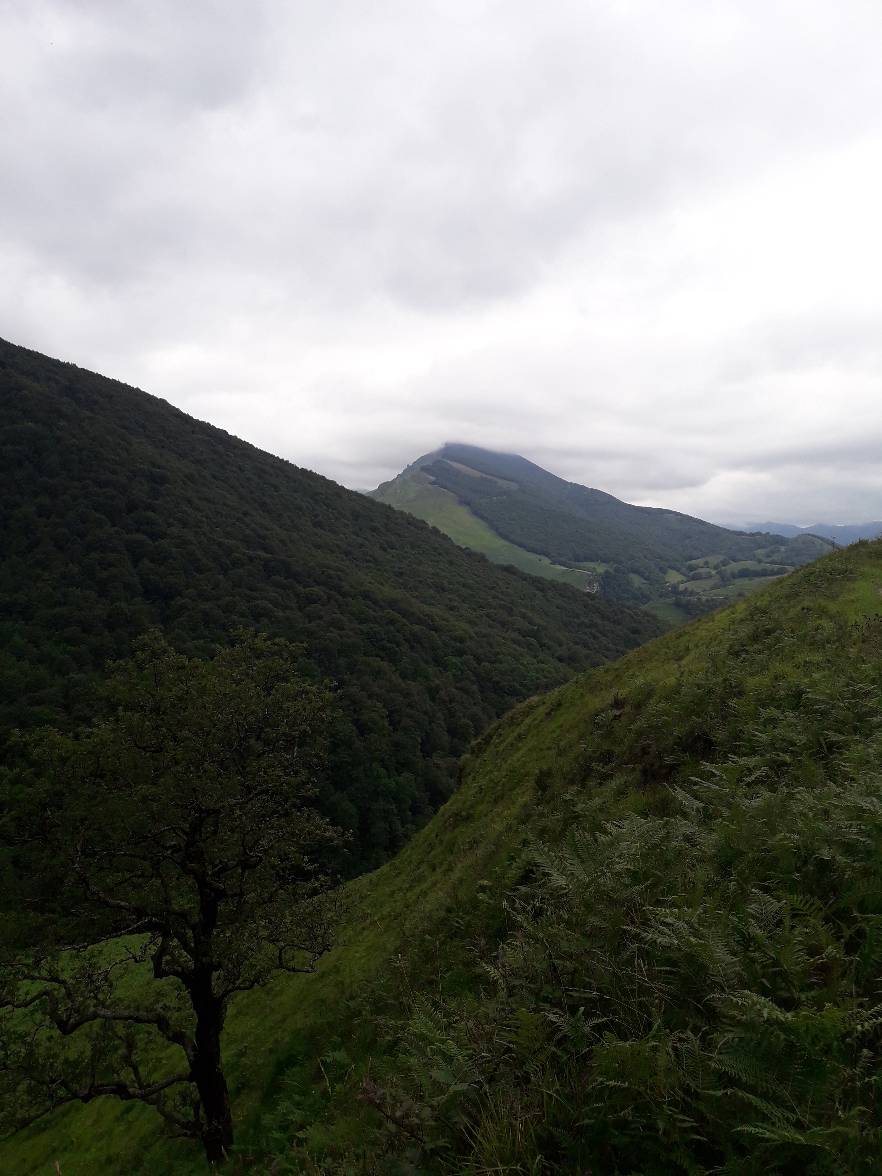 Photo n° 3 de l'avis de Labonneanse.o fait le 15/07/2020 à 09:44