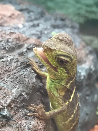 Pet Supply Store «Petco Animal Supplies», reviews and photos, 5975 20th St, Vero Beach, FL 32966, USA