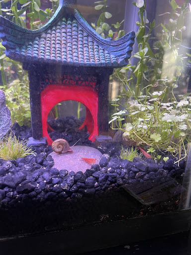 Pet Store «Anchor Bay Aquarium», reviews and photos, 36457 Alfred St, New Baltimore, MI 48047, USA