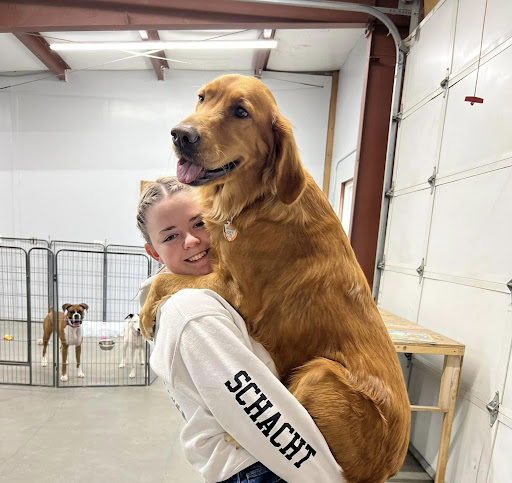 Mountain Valley Paws