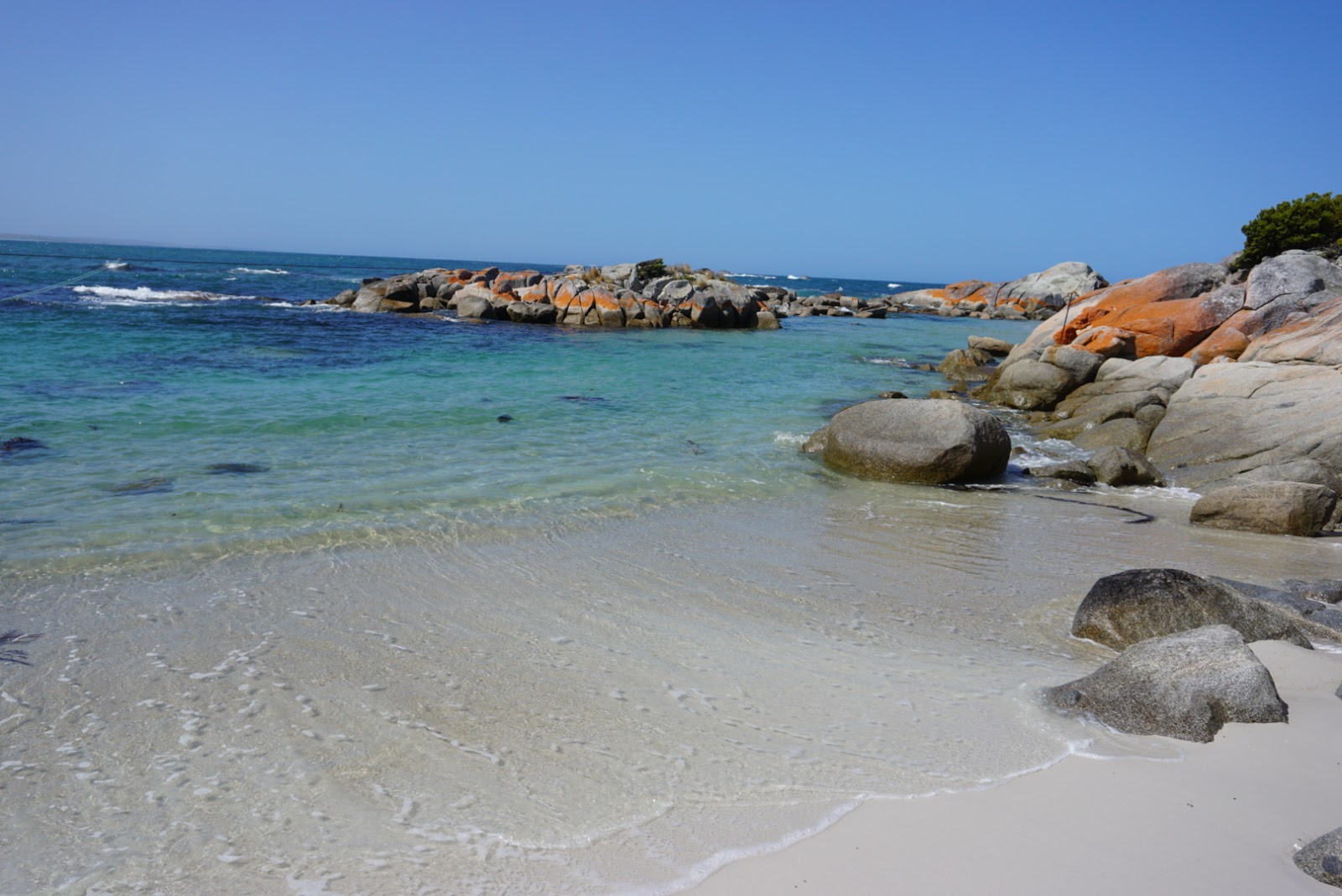 Foto de Koala Rock Beach localizado em área natural