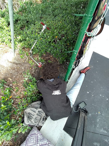 Pet Supply Store «Dog Bar», reviews and photos, 1684 Jefferson Ave, Miami Beach, FL 33139, USA