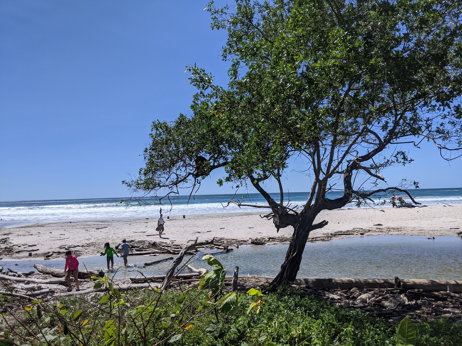 Photo of Playa Barrigona wild area