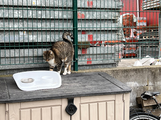 Tierhuus Insel Föhr EV Wild u. Notaufnahme unter Wyk auf Föhr, 