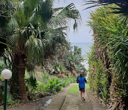 Martinique photo