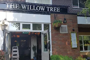 Willow Tree image