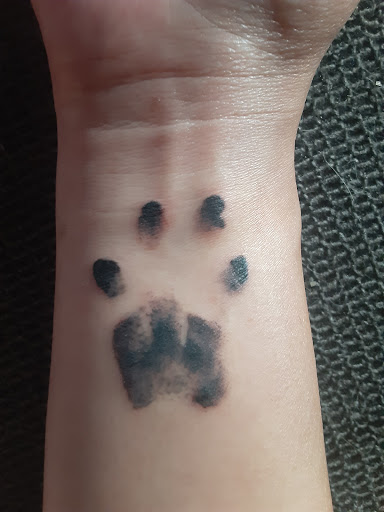 Tattoo Shop «tattoo los angeles Ocean Front Tattoo», reviews and photos, 1201 Ocean Front Walk, Venice, CA 90291, USA