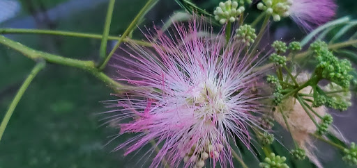 Golf Club «Sterling Park Golf Club», reviews and photos, 333 S Sterling Blvd, Sterling, VA 20164, USA