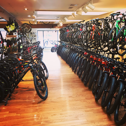 Bicycle Store «Brielle Cyclery», reviews and photos, 205 Union Ave, Brielle, NJ 08730, USA