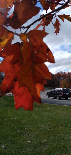 Nature Preserve «Goodenow Grove Nature Preserve», reviews and photos, 27064 Dutton Rd, Beecher, IL 60401, USA