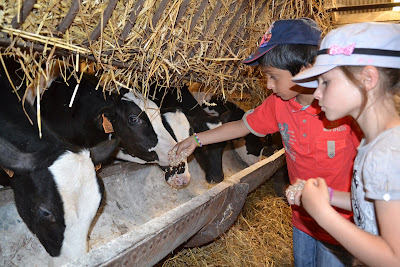 Le Savoir Vert - Réseau de fermes pédagogiques à Saint-Laurent-Blangy