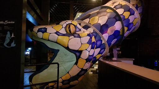 Night Club «The Aquarium On 6th», reviews and photos, 403 E 6th St, Austin, TX 78701, USA