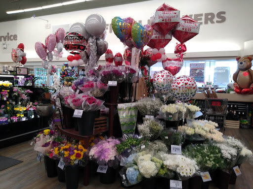 Grocery Store «ACME Markets», reviews and photos, 236 E Glenwood Ave, Smyrna, DE 19977, USA