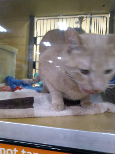 Pet Supply Store «PetSmart», reviews and photos, 637 Woodbury Glassboro Rd, Sewell, NJ 08080, USA