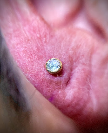 Find fruit tattoo ideas for your next unique tattoo in Orange at Symbiosis Body Piercing