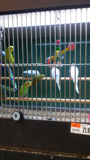 Pet Supply Store «Pet Supplies Plus», reviews and photos, 254 S Illinois Ave, Oak Ridge, TN 37830, USA
