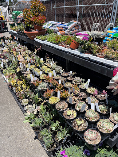 Hardware Store «Laurel Ace Hardware», reviews and photos, 4024 MacArthur Blvd, Oakland, CA 94619, USA