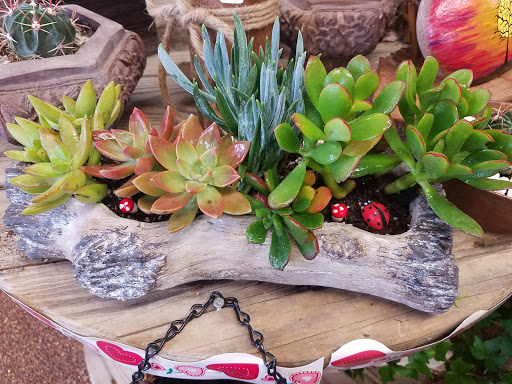 Florist «Little Flower Shop», reviews and photos, 616 High St, Delano, CA 93215, USA