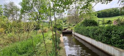 Pisciculture de Corancy à Corancy