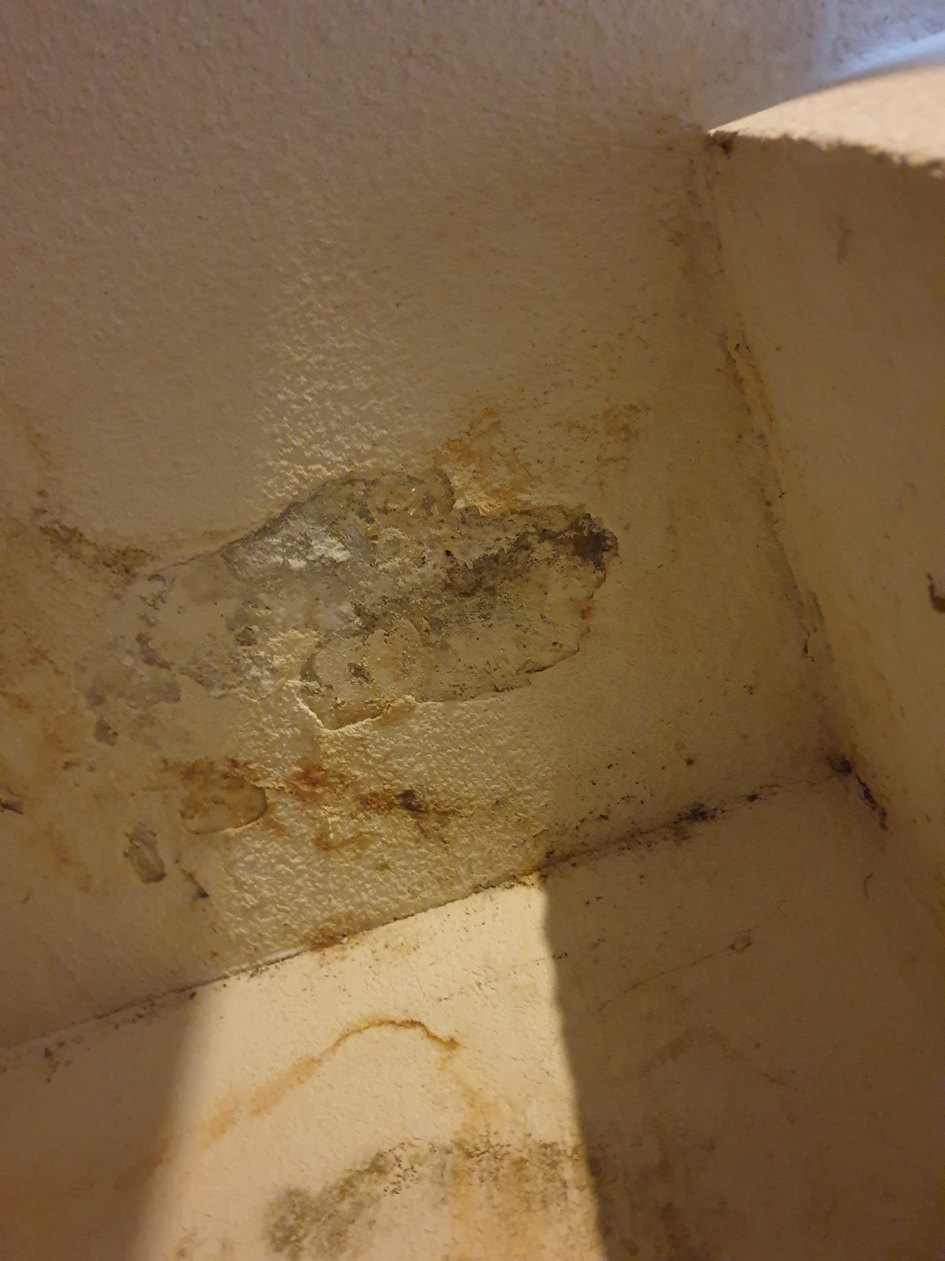 Photo n° 2 de l'avis de JAMMOT.a fait le 31/12/2022 à 21:36