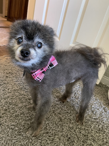 Explore baking tattoo ideas, creative tattoo ideas in Ormond Beach, available at Shamrock Tattoo