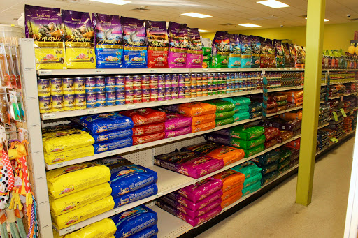 Pet Supply Store «Pet Club Avondale», reviews and photos, 1729 N Dysart Rd B-101, Avondale, AZ 85392, USA