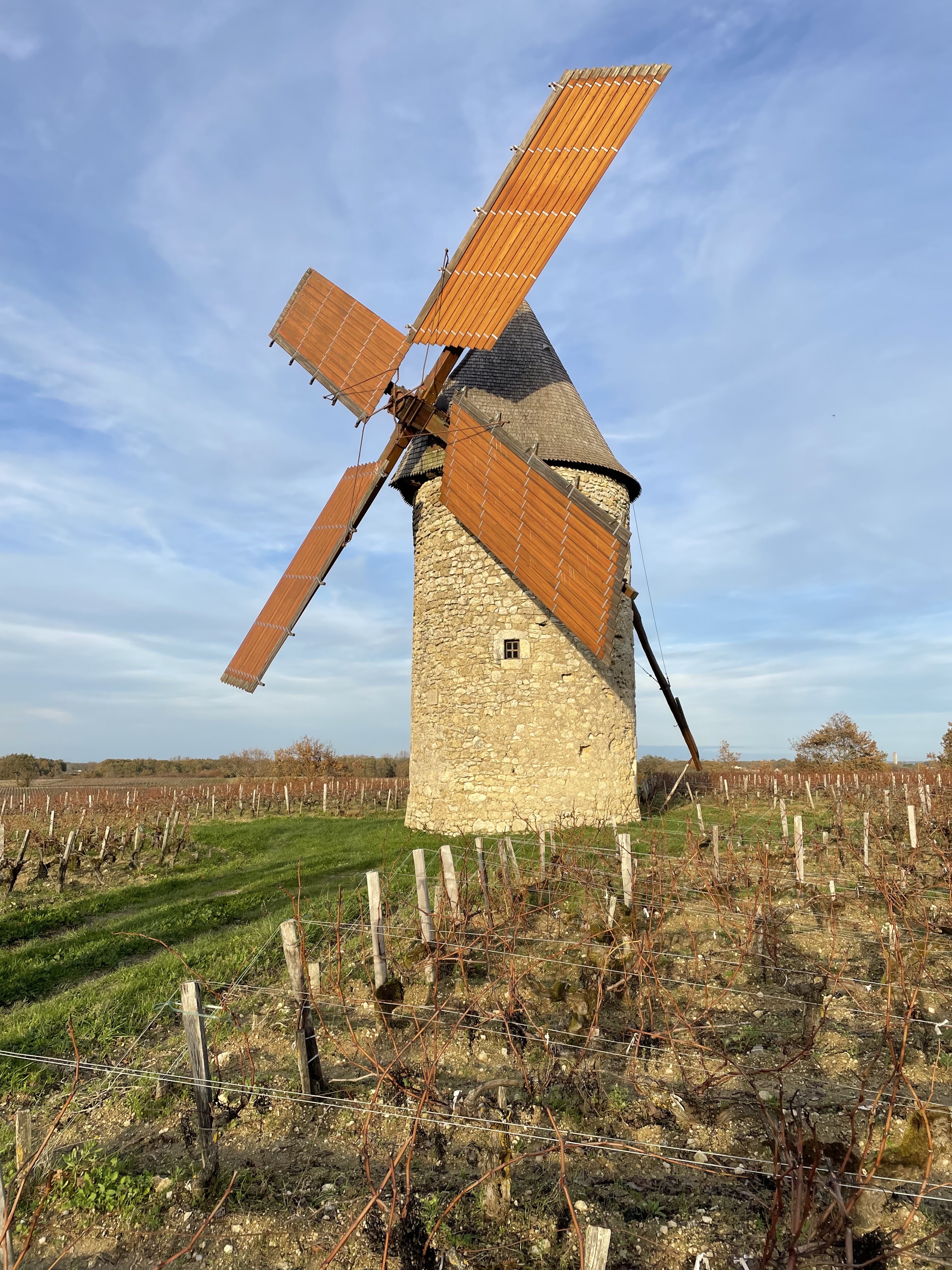 Photo n° 1 de l'avis de Marie.o fait le 19/11/2023 à 18:08