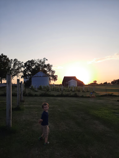 Vineyard «Ardon Creek Vineyard and Winery», reviews and photos, 2391 Independence Ave, Letts, IA 52754, USA