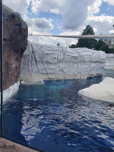 Zoo «Arctic Ring of Life», reviews and photos, 8450 W 10 Mile Rd, Royal Oak, MI 48067, USA