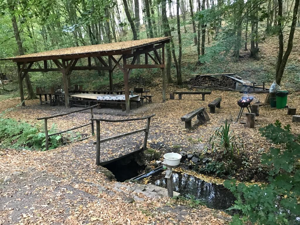 Photo n° 5 de l'avis de chiel.o fait le 26/09/2020 à 12:37