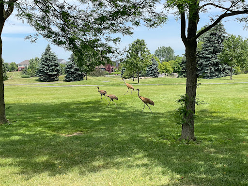 Golf Course «Tanglewood Golf Course», reviews and photos, 22805 Country Club Dr, South Lyon, MI 48178, USA