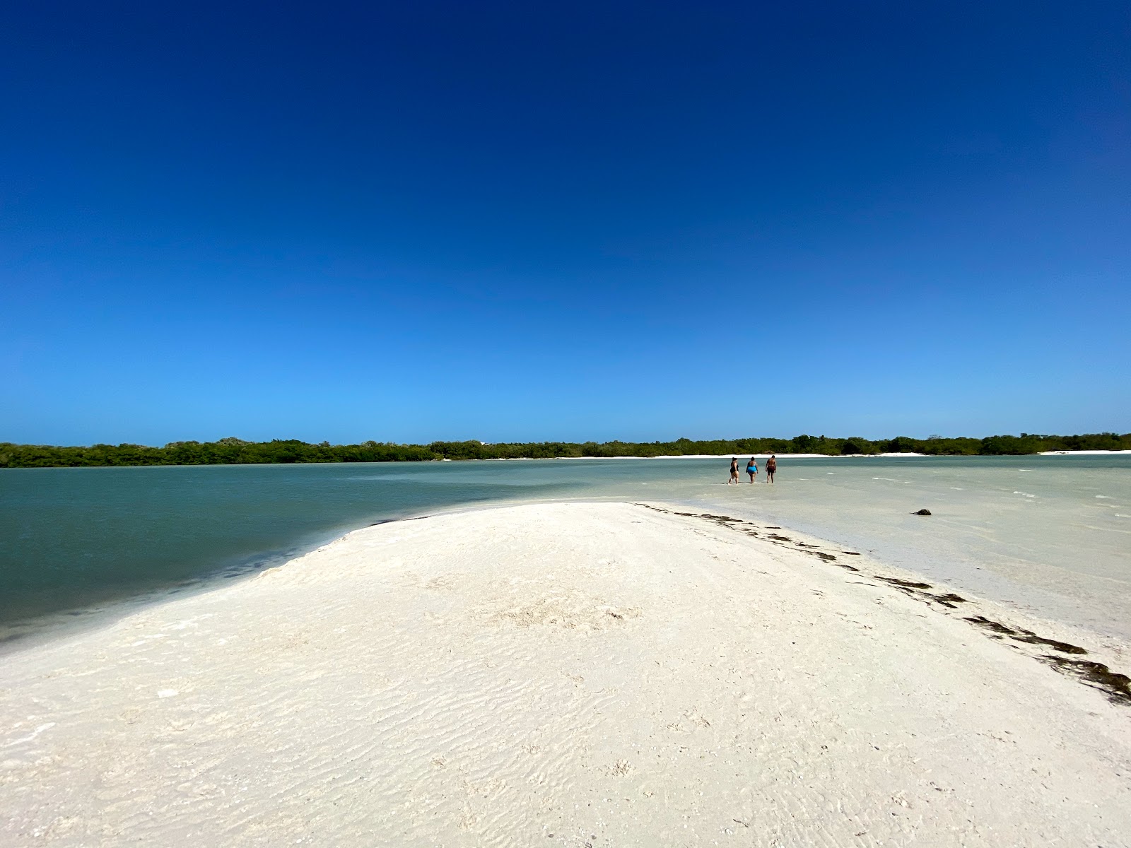 Foto de Playa Punta Cocos con agua turquesa superficie