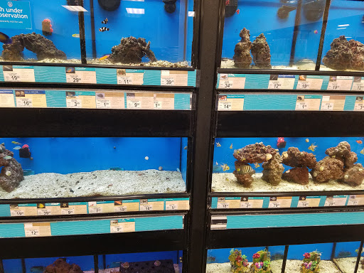 Pet Supply Store «Petco Animal Supplies», reviews and photos, 6842 S Redwood Rd, West Jordan, UT 84084, USA