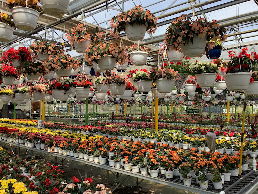 Florist «Dutch & Olgas Greenhouse», reviews and photos, 1285 NJ-36, Hazlet, NJ 07730, USA