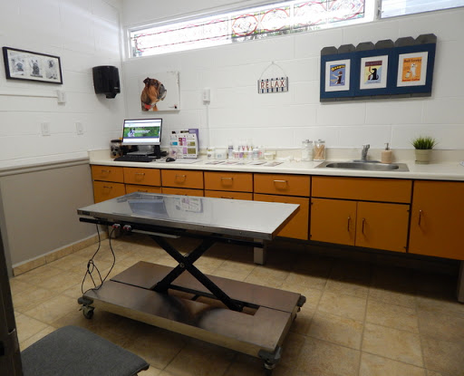 Dr. Kraemer Vet4Bulldog image