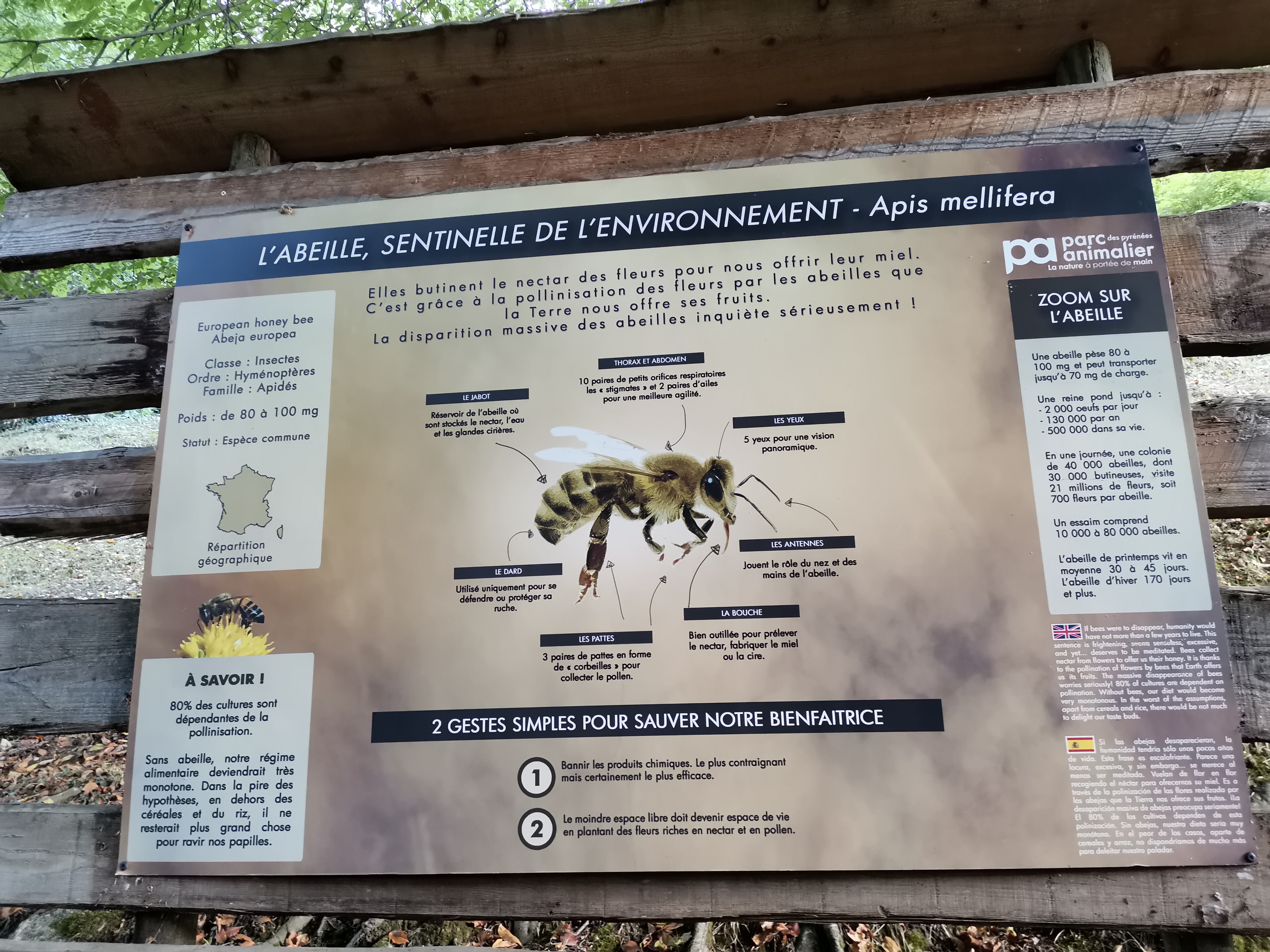 Photo n° 3 de l'avis de L. fait le 26/08/2022 à 17:05