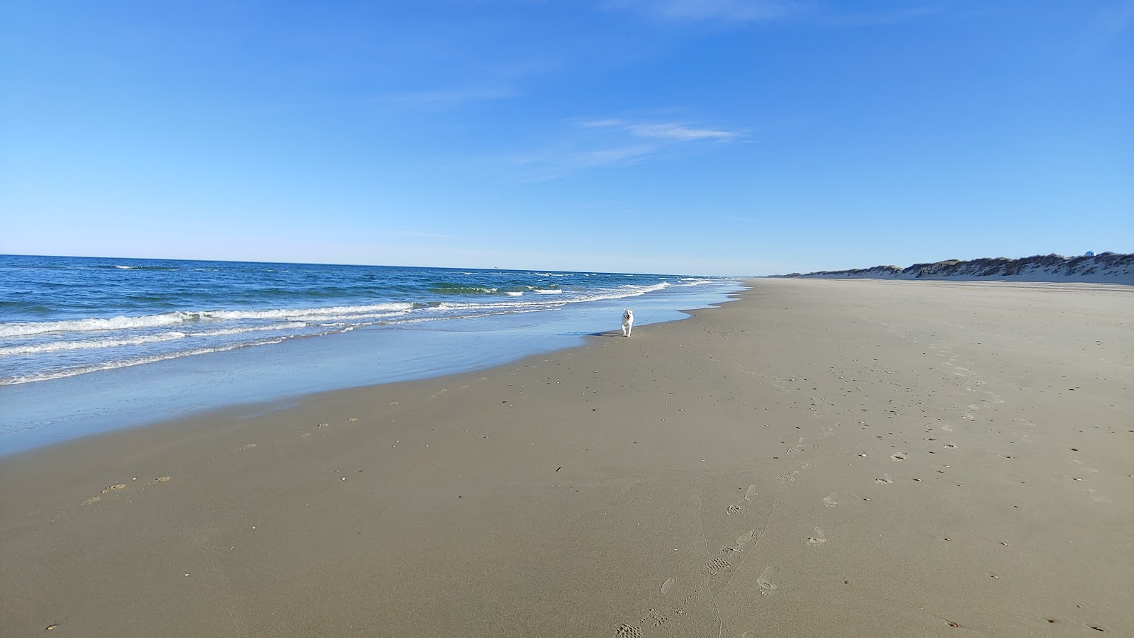 Zdjęcie Corolla beach z powierzchnią turkusowa czysta woda