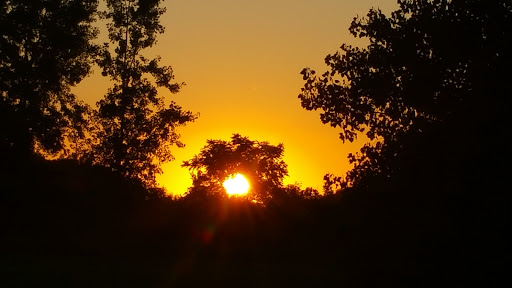 Discount Store «Family Dollar», reviews and photos, 2774 W Lansing Rd, Perry, MI 48872, USA