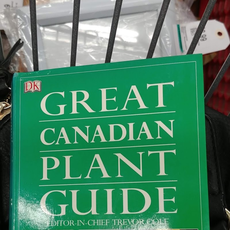 Value Village